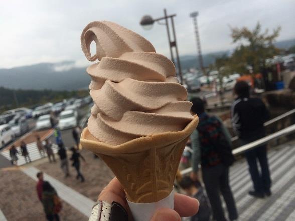 ｒｇ１１０２ (2).JPG